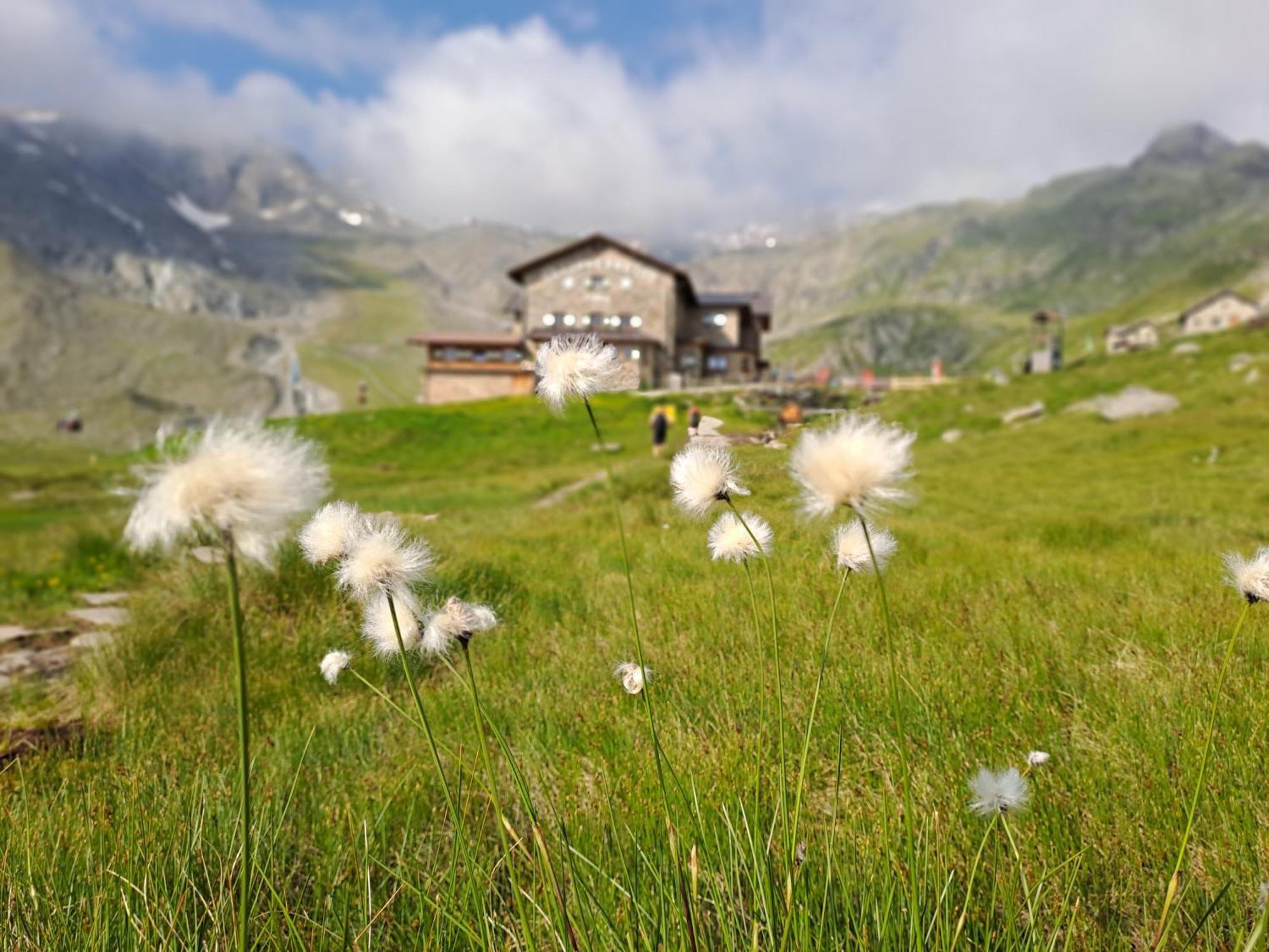 Ferienwohnung Jakob-Adults Only Neustift im Stubaital Luaran gambar